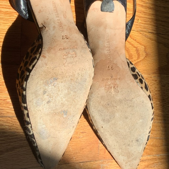 Cheetah Manolos - Picture 4 of 5